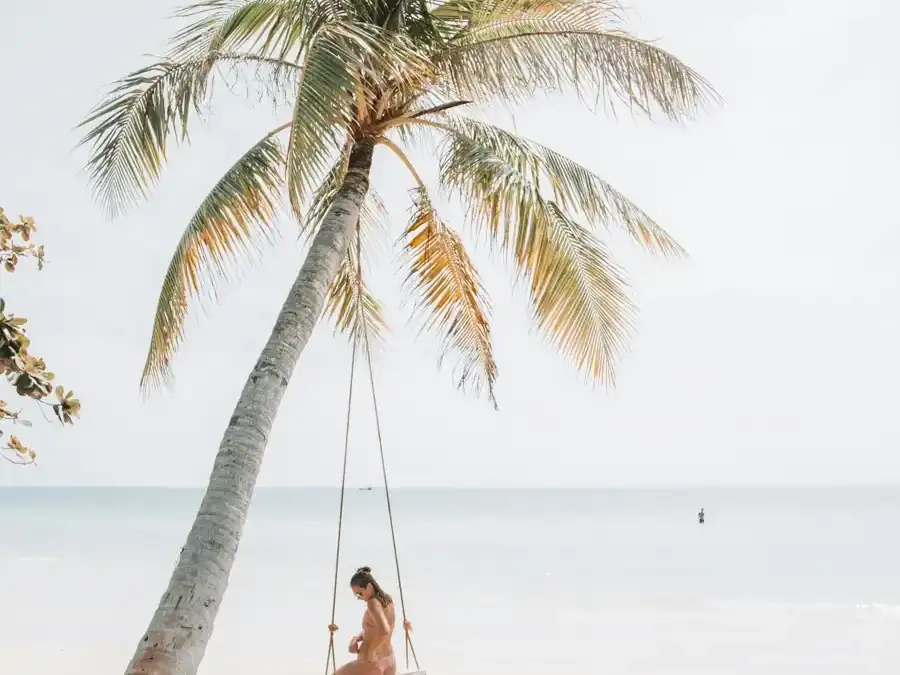 A rope swing hanging from a leaning palm over white sand and calm water